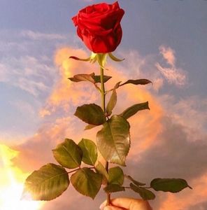 Meet your Posher, Beatriz